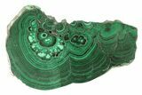 Polished Malachite Slab - DR Congo #264835-1